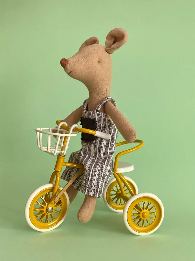 Mini Ratinho com Jardineiras