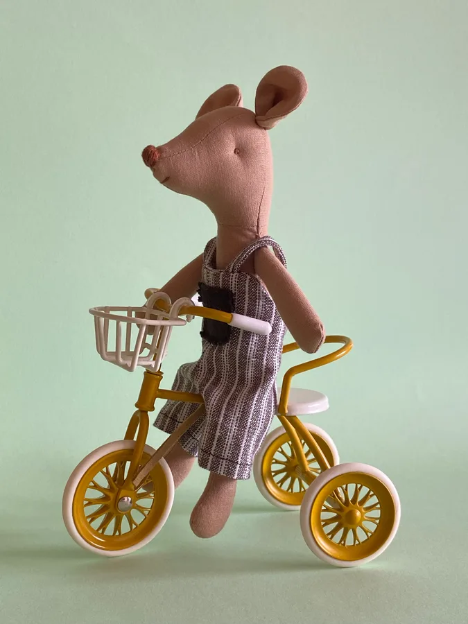 Mini Ratinho com Jardineiras